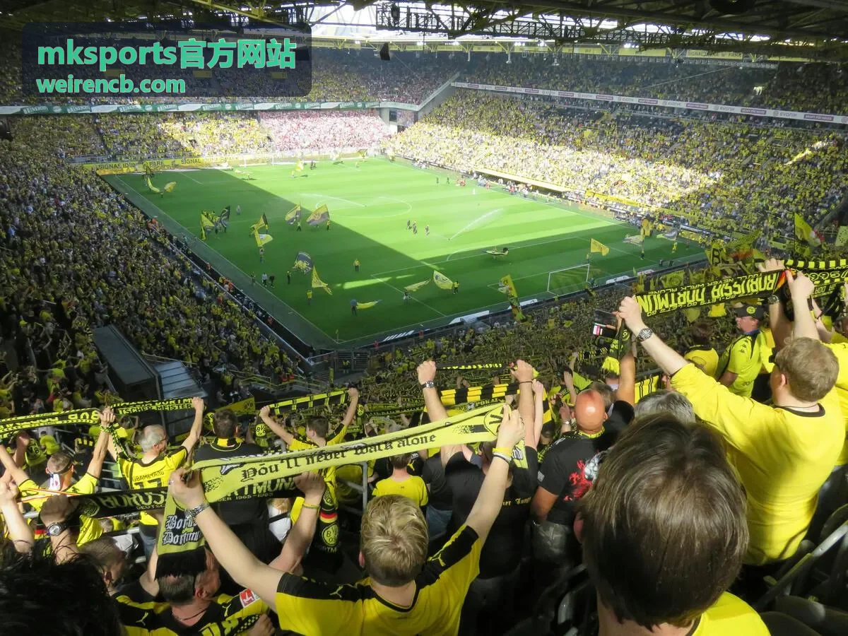 mksports官方网站使用指南栏目封面