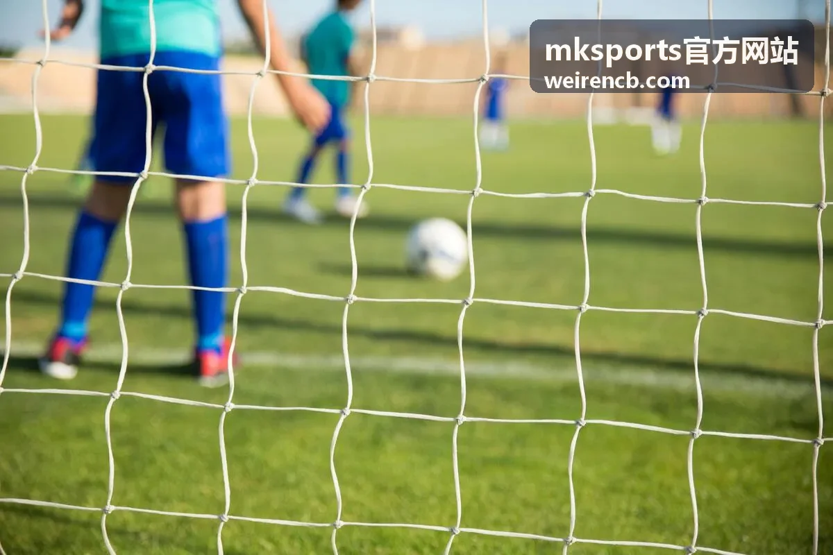 mksports官方网站常见问题栏目封面